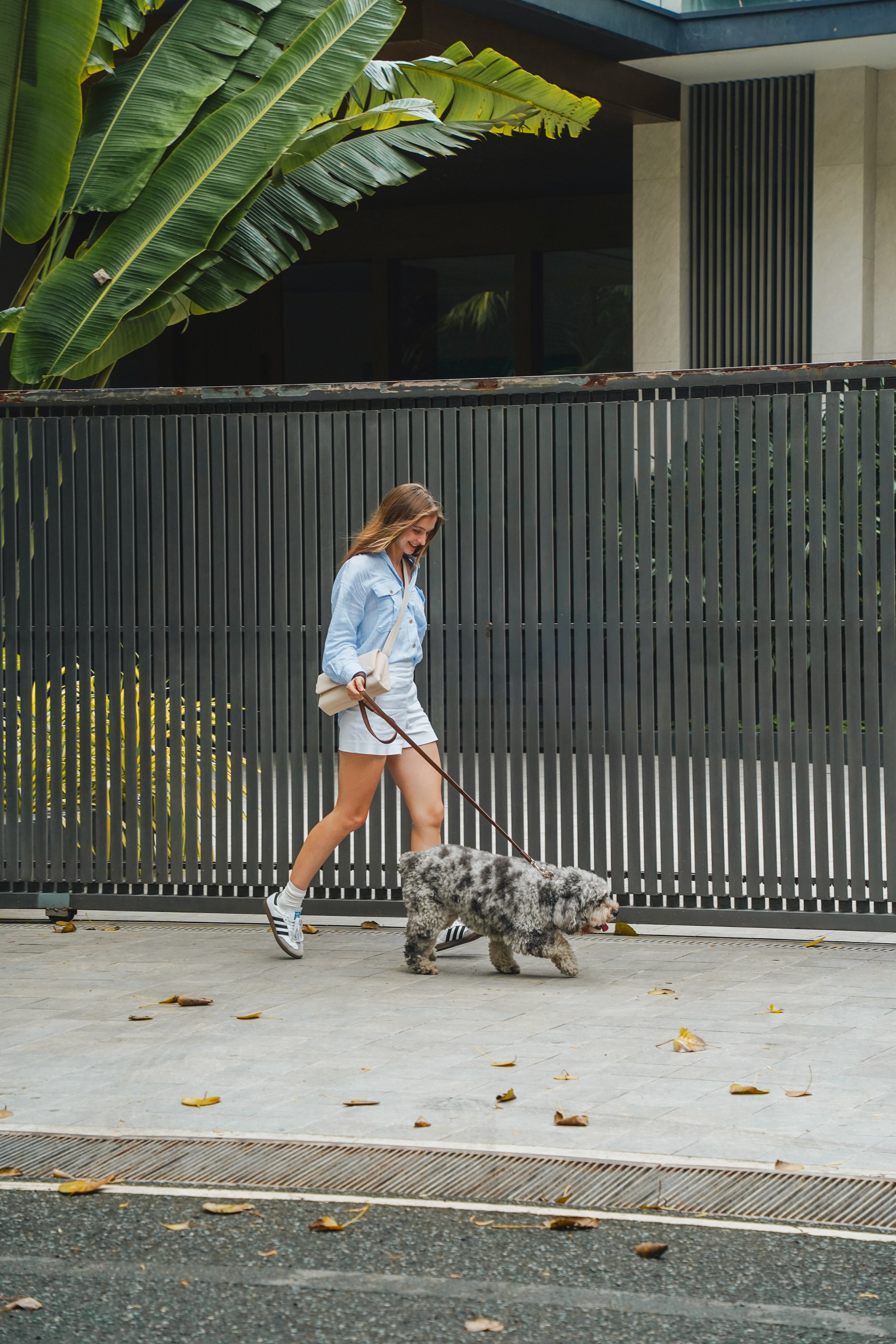 The Full City Set (with Medium Collar)