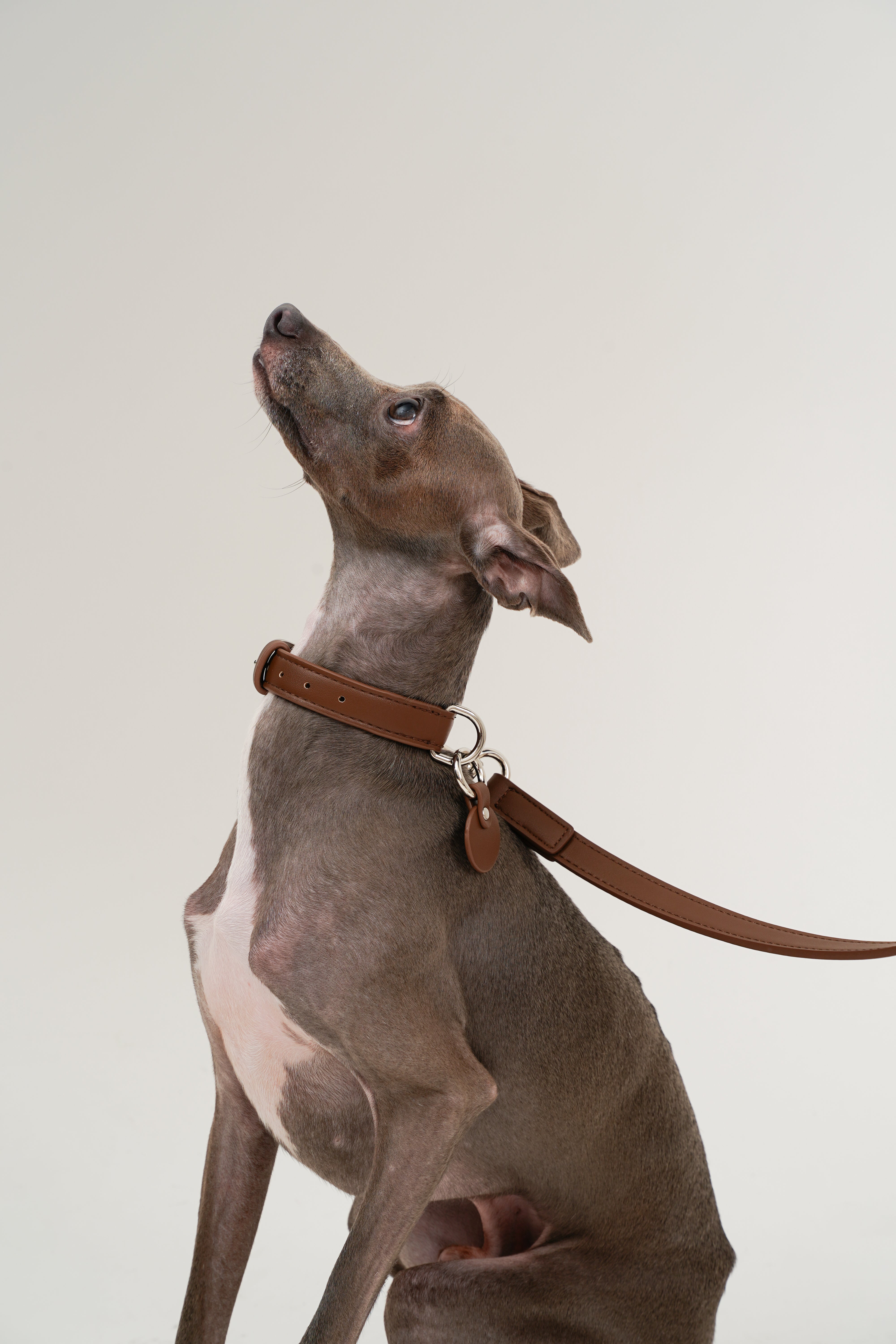 The City Collar & Leash Set