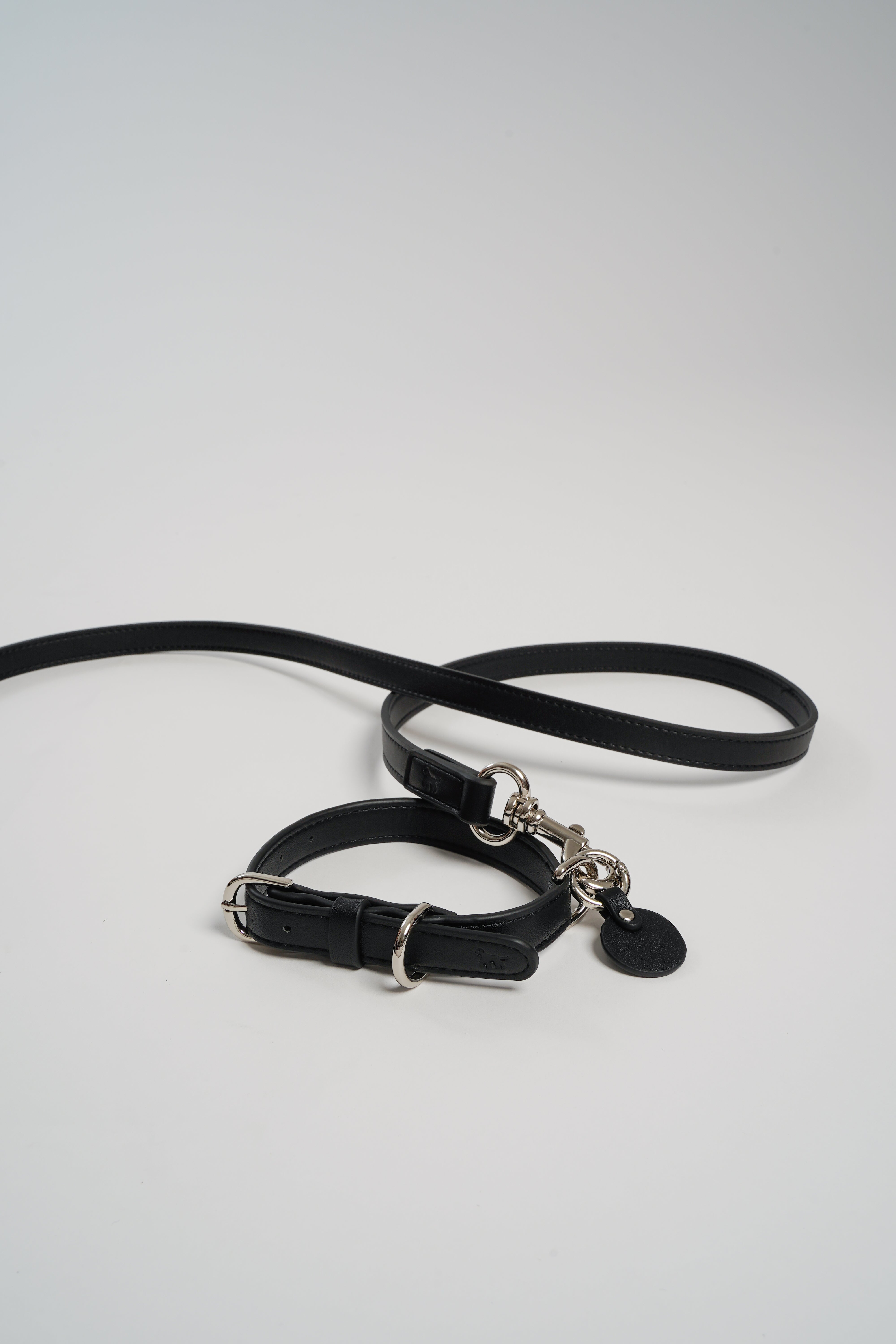 The City Collar & Leash Set