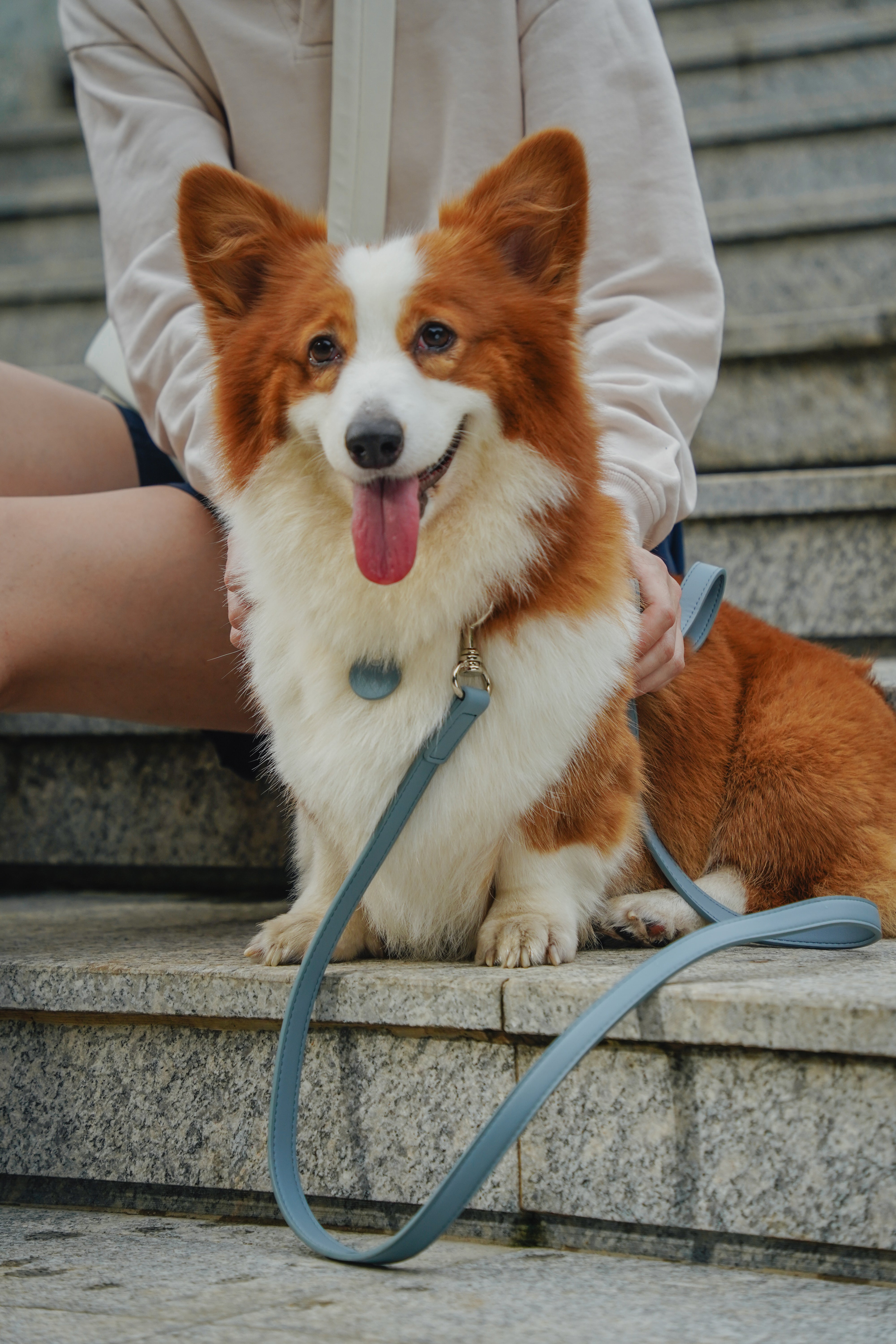 The City Leash